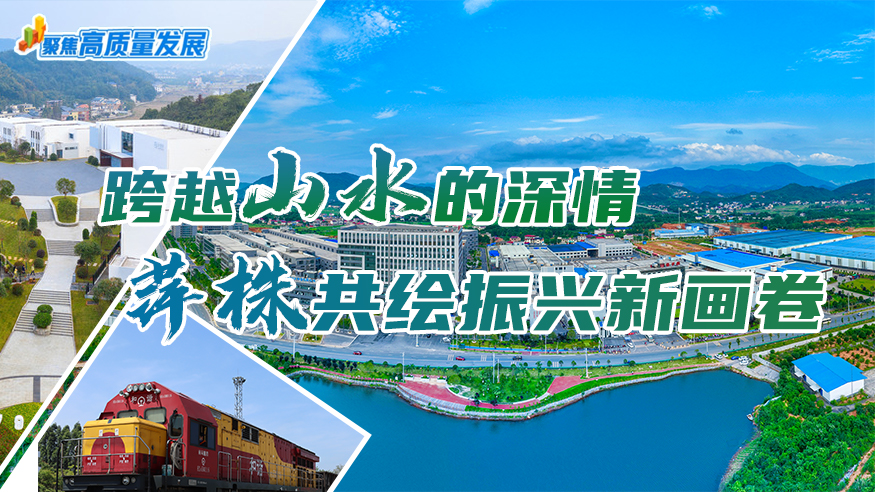 跨越山水的深情 萍株共绘振兴新画卷
