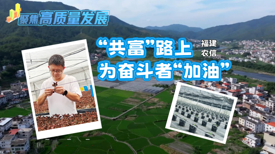 福建农信：“共富”路上 为奋斗者“加油”